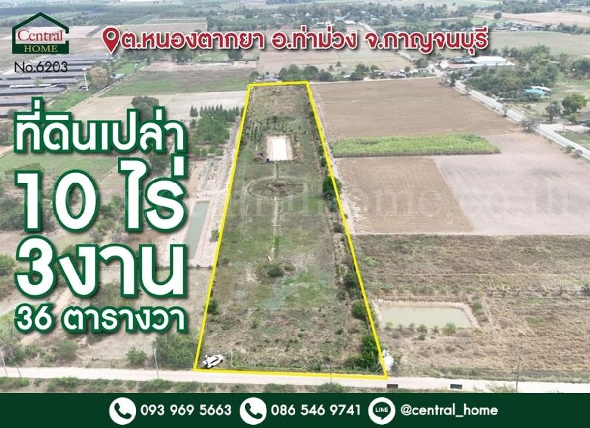 For SaleLandKanchanaburi : 10 rai of land, 3 ngan 36 square meters, Tha Muang, Kanchanaburi, growing more than 500 teak trees