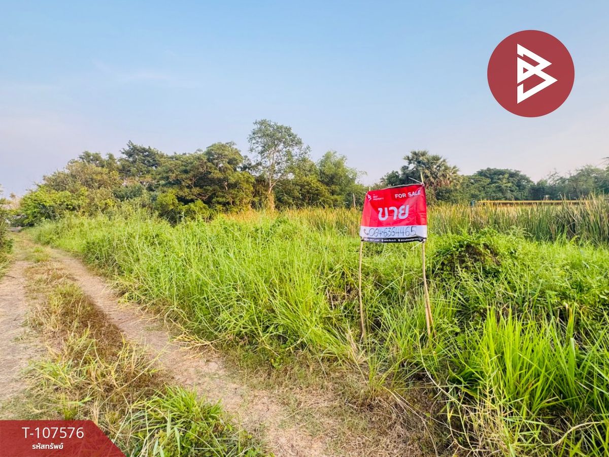 For SaleLandPathum Thani,Rangsit, Thammasat : Land for sale, area 2, Nong Suea Pathum Thani