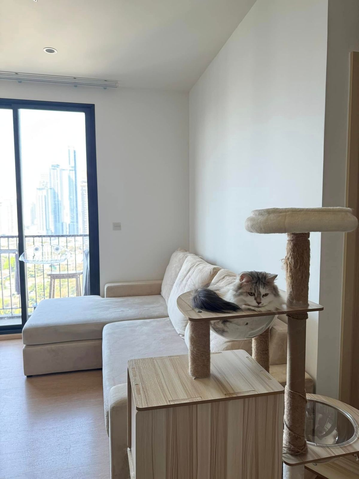 ขายคอนโดสุขุมวิท อโศก ทองหล่อ : (T0068) ‼️For Sale‼️MARU EKKAMAI 2 Price 6,600,000 Baht ‼️PET FRIENDLY