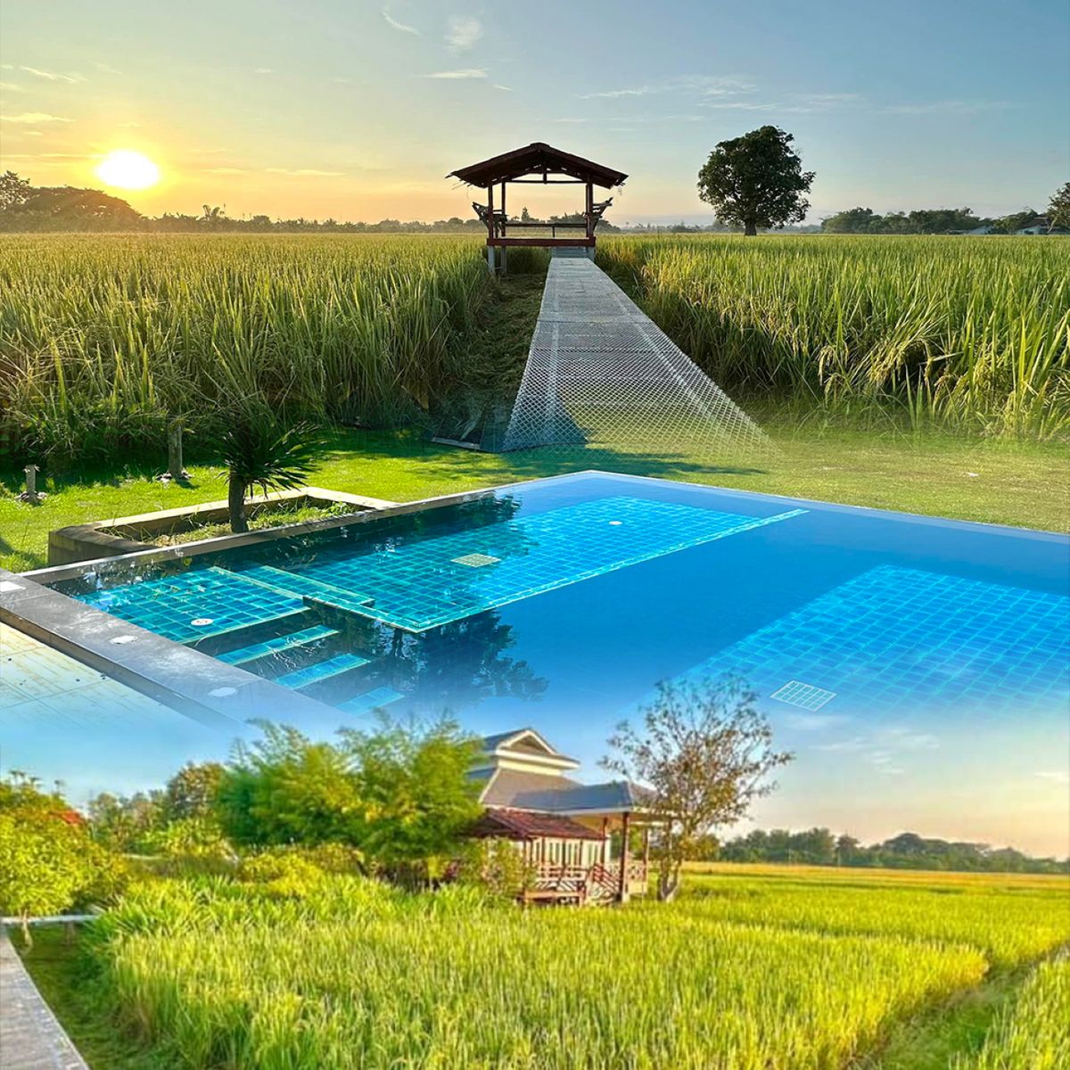 กิจการโรงแรม & กิจการอพาร์ตเมนต์เชียงใหม่ : Chiang Mai Hotel Resort for Sale or Lease 