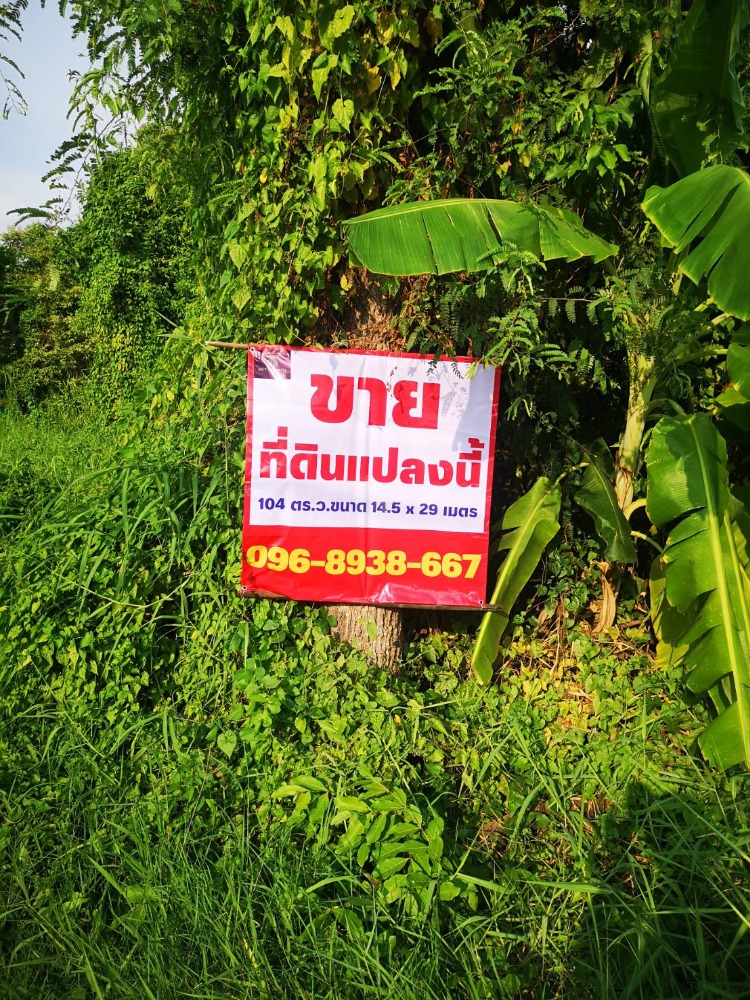 ขายที่ดินลาดกระบัง สุวรรณภูมิ : ขายที่ดินถนนเฉลิมพระเกียรติ ร.9 ซอย 47 มีปอดอยู่ใกล้ เหมาะสร้างบ้าน อพาร์ทเม้นท์