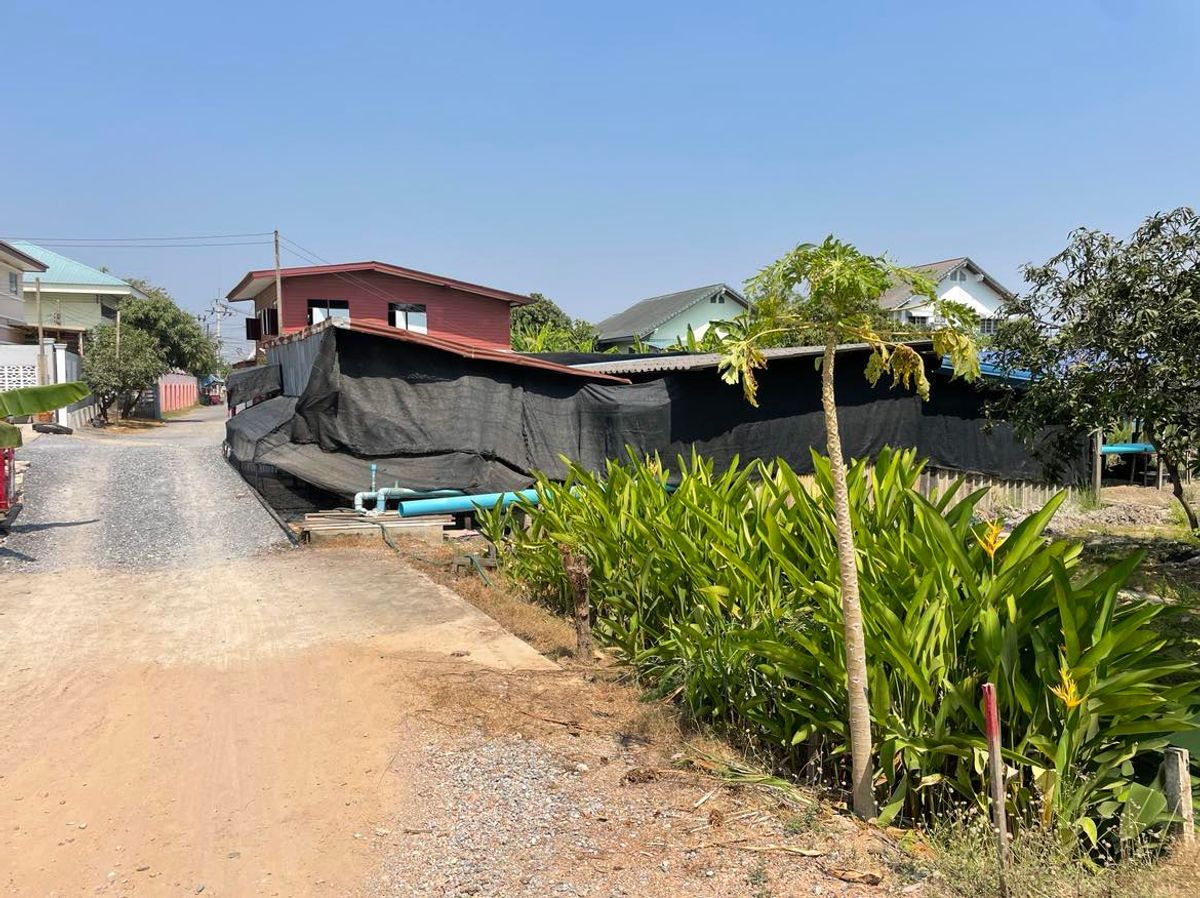 ขายที่ดินพุทธมณฑล ศาลายา : ขายที่ดินเปล่า  7 ไร่ 1 งาน 6  ตารางวา  ซ.ทวีวัฒนา-กาญจนาภิเษก35  ใกล้โรงเรียนคลองทวีวัฒนา  แขวงทวีวัฒนา   เขตทวีวัฒนา  กรุงเทพ10170