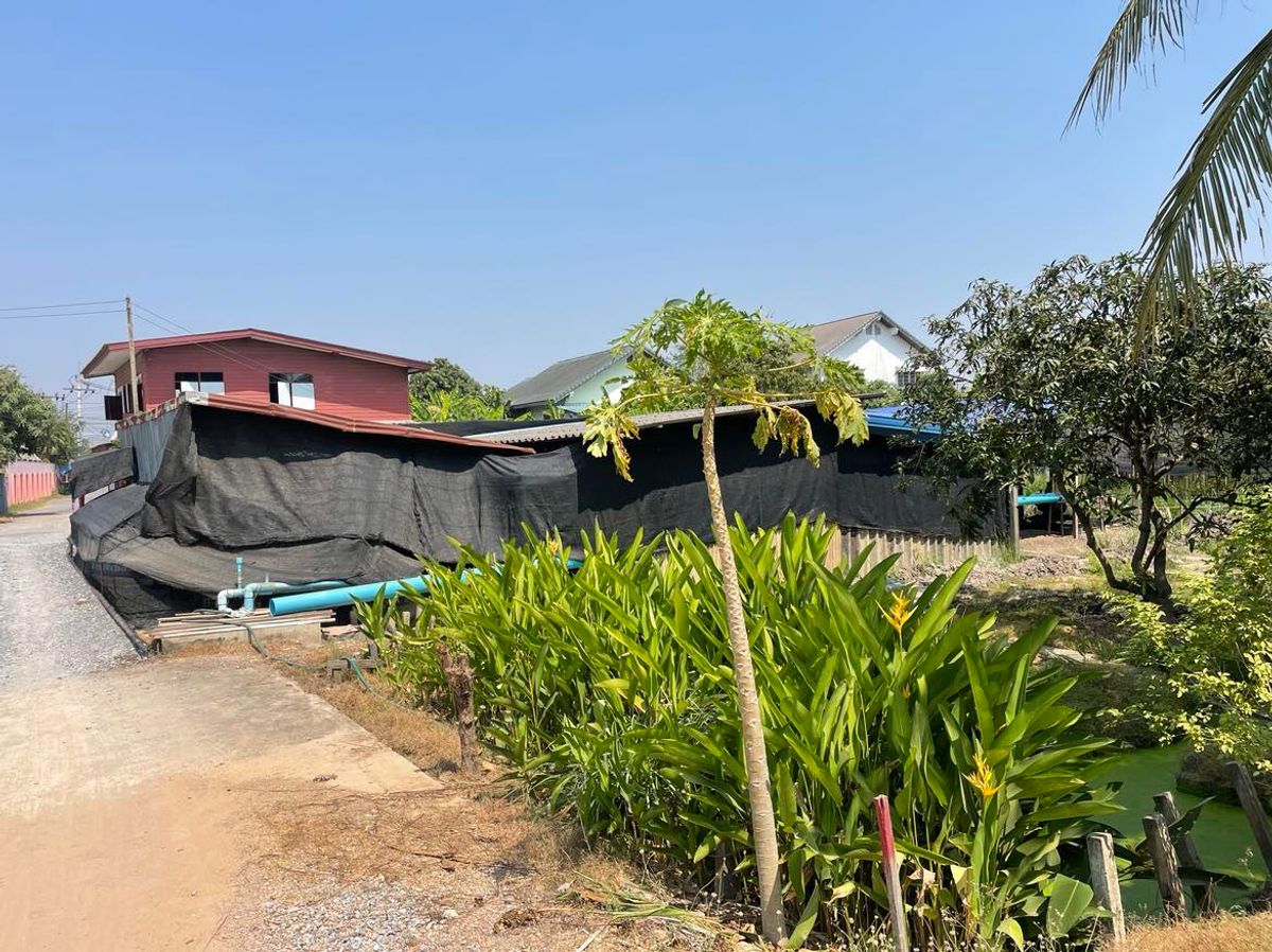 ขายที่ดินพุทธมณฑล ศาลายา : ขายที่ดินเปล่า  7 ไร่ 1 งาน 6  ตารางวา  ซ.ทวีวัฒนา-กาญจนาภิเษก35  ใกล้โรงเรียนคลองทวีวัฒนา  แขวงทวีวัฒนา   เขตทวีวัฒนา  กรุงเทพ10170