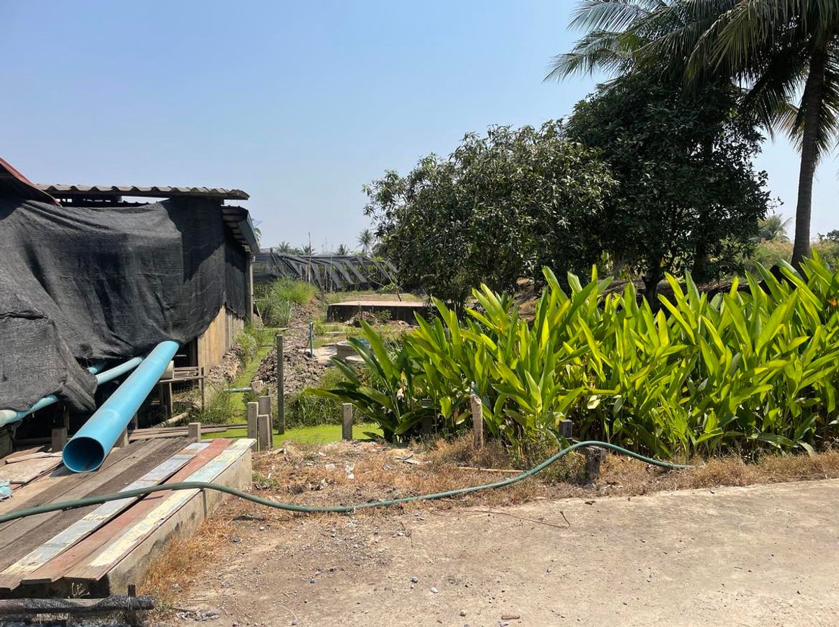 ขายที่ดินพุทธมณฑล ศาลายา : ขายที่ดินเปล่า  7 ไร่ 1 งาน 6  ตารางวา  ซ.ทวีวัฒนา-กาญจนาภิเษก35  ใกล้โรงเรียนคลองทวีวัฒนา  แขวงทวีวัฒนา   เขตทวีวัฒนา  กรุงเทพ10170