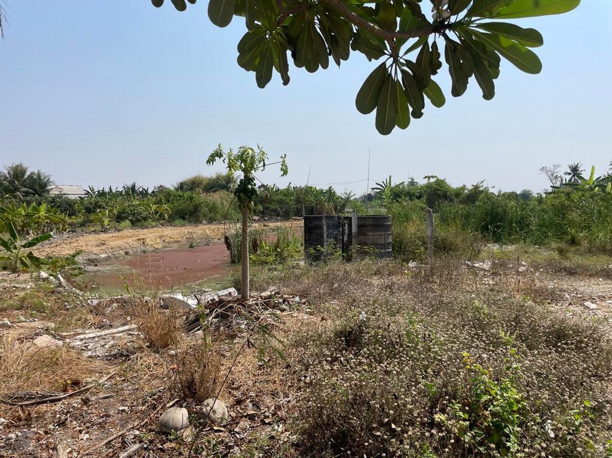 ขายที่ดินพุทธมณฑล ศาลายา : ขายที่ดินเปล่า  7 ไร่ 1 งาน 6  ตารางวา  ซ.ทวีวัฒนา-กาญจนาภิเษก35  ใกล้โรงเรียนคลองทวีวัฒนา  แขวงทวีวัฒนา   เขตทวีวัฒนา  กรุงเทพ10170