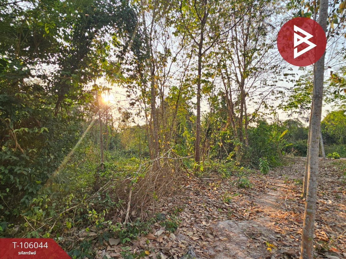 For SaleLandRayong : Land for sale, area 1, Natakwan Rayong