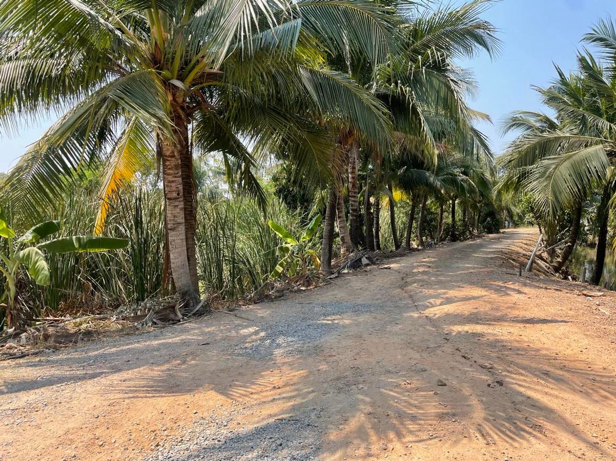 ขายที่ดินพุทธมณฑล ศาลายา : ขายที่ดินเปล่า  7 ไร่ 1 งาน 6  ตารางวา  ซ.ทวีวัฒนา-กาญจนาภิเษก35  ใกล้โรงเรียนคลองทวีวัฒนา  แขวงทวีวัฒนา   เขตทวีวัฒนา  กรุงเทพ10170