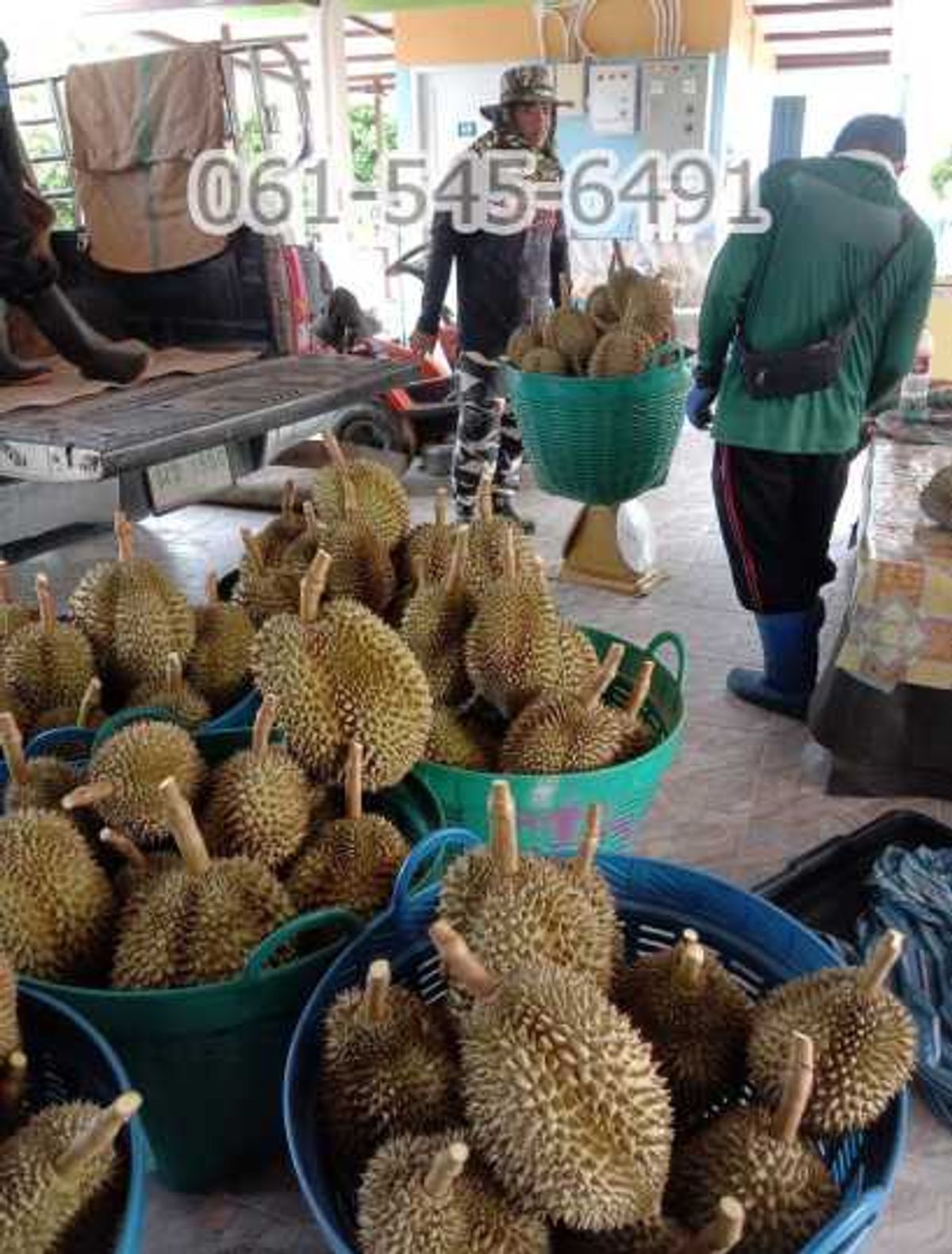 For SaleLandRayong : 44 rai of land for sale, fruit orchard with resort houses, Ban Khai Rayong, suitable for good return investment