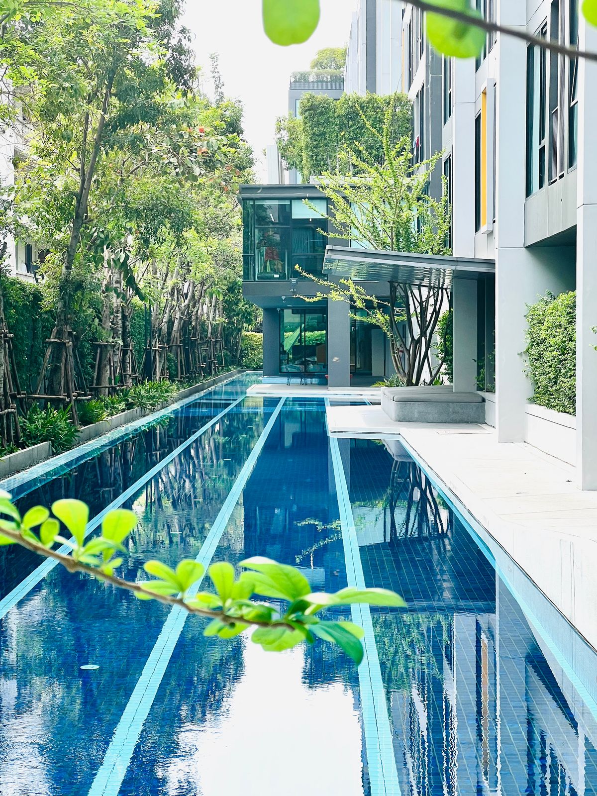 For SaleCondoPathum Thani,Rangsit, Thammasat : Urgent sale! Attitude BU condo, opposite Bangkok Rangsit University, good price