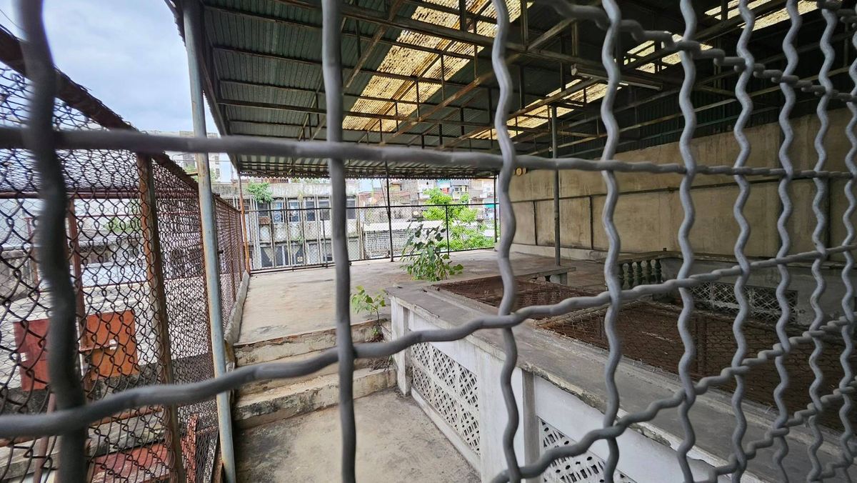 ให้เช่าอาคารพาณิชย์เยาวราช บางลำพู : ให้เช่าอาคารพาณิชย์ 2คูหา 5 นาที-MRTวัดมังกร (N.1235)