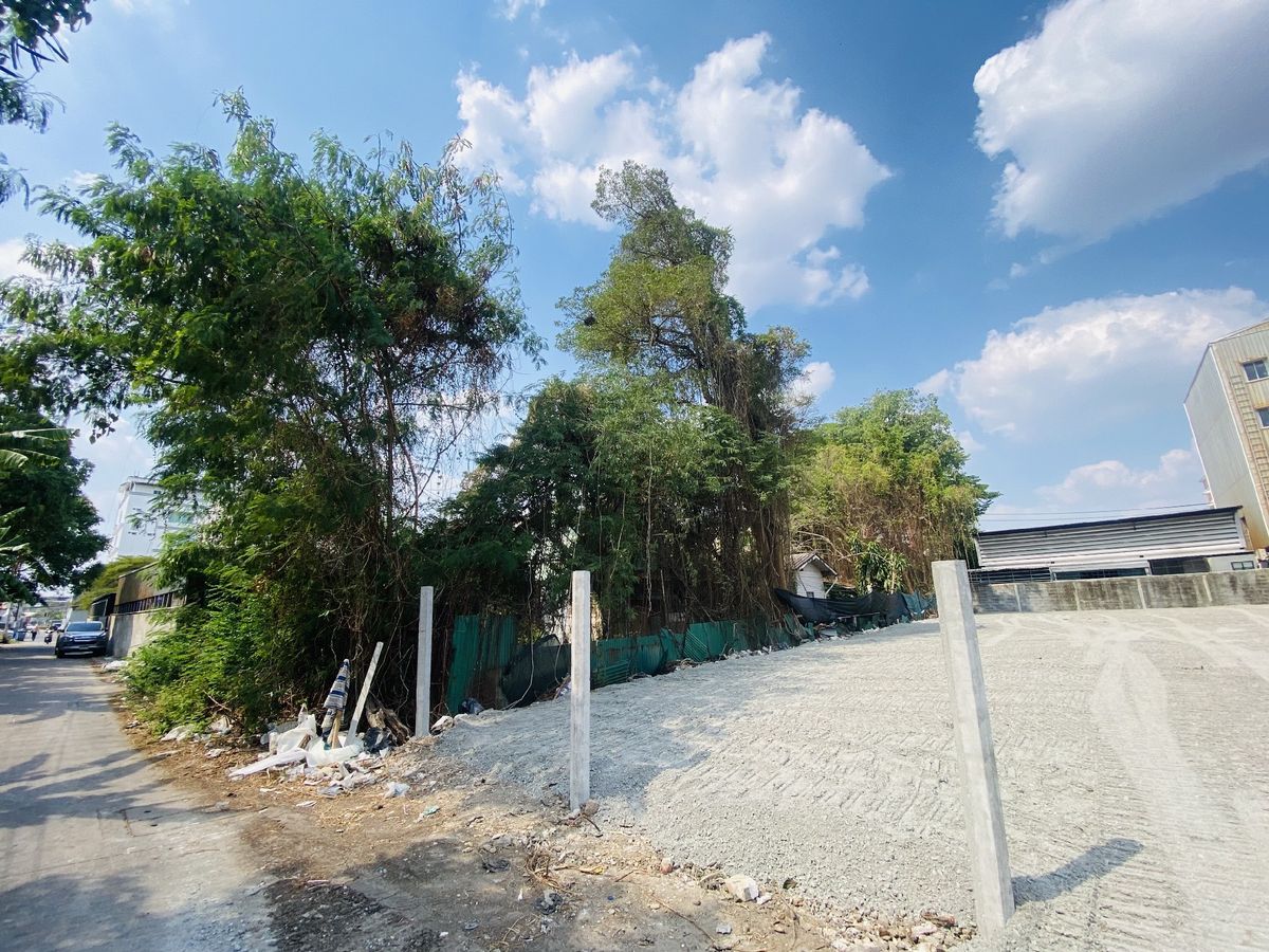 ให้เช่าที่ดินบางนา แบริ่ง ลาซาล : ซอยแบริ่ง68 ที่ดิน 151 ตรว. หน้ากว้าง 15 ม ลึก 40 ม. ซอย แบริ่ง68