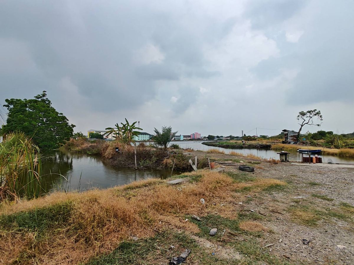 For SaleLandSamut Prakan,Samrong : Large plot of land Near Bang Na-Trat Road, only 300 meters. Convenient to travel near the Buraphawithi Expressway.