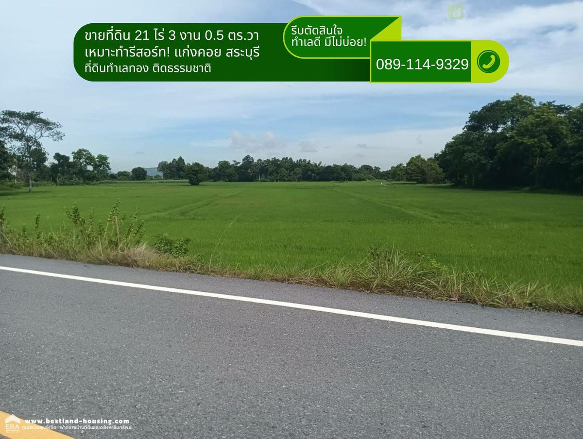 ขายที่ดินสระบุรี : ขายที่ดิน 21 ไร่ 3 งาน 0.5 ตร.วา เหมาะทำรีสอร์ท! แก่งคอย สระบุรี