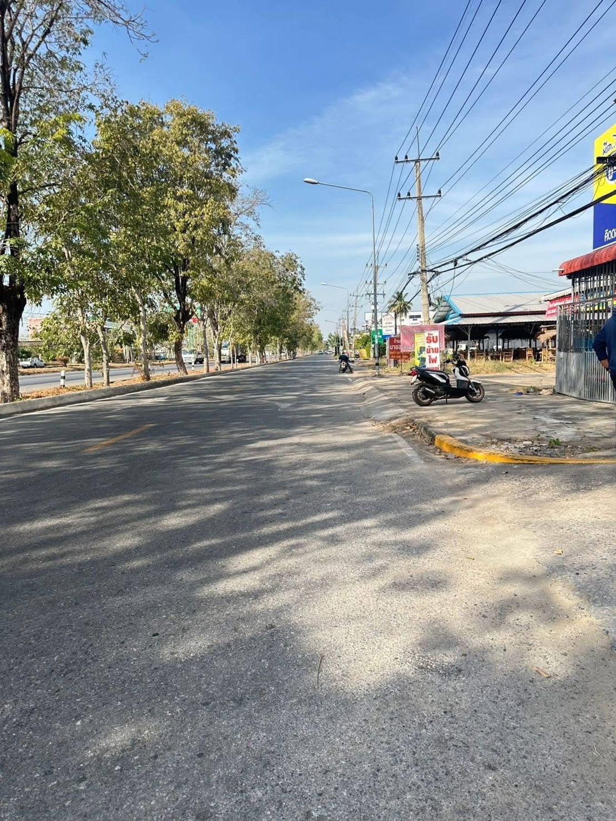 ขายที่ดินเพชรบูรณ์ : ขายกิจการพร้อมที่ดิน ย่านบึงสามพัน ติดถนนใหญ่