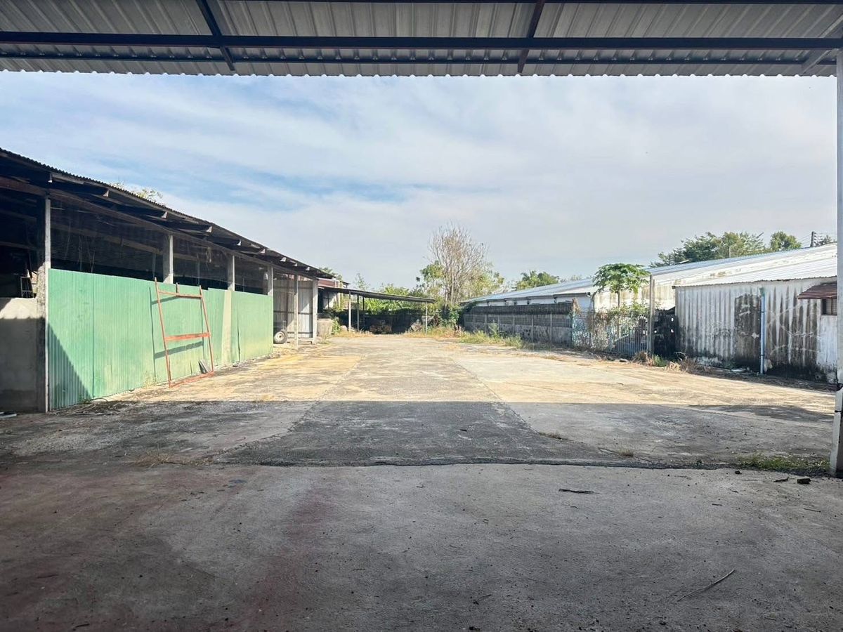 ขายที่ดินเพชรบูรณ์ : ขายกิจการพร้อมที่ดิน ย่านบึงสามพัน ติดถนนใหญ่