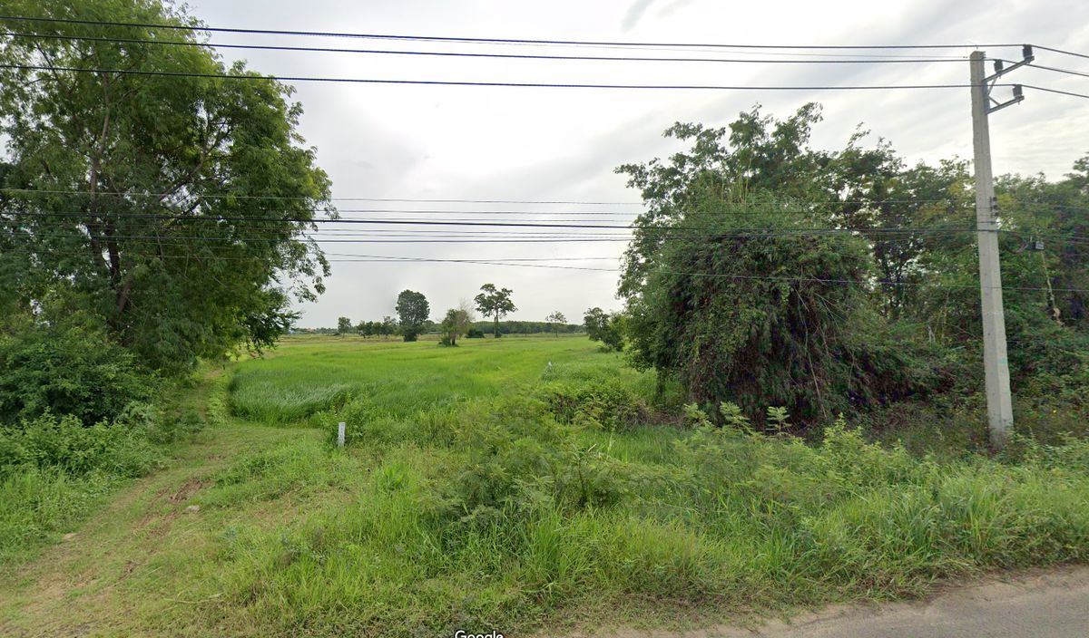 ขายที่ดินบุรีรัมย์ : ที่ดินเอกสารสิทธิโฉนดครุฑแดง  เนื้อที่รวม 15-0-8 ไร่