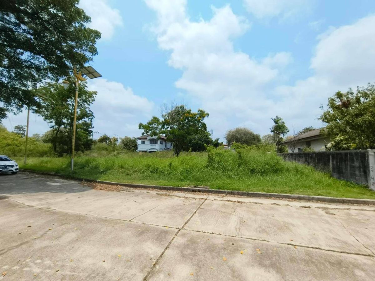 ขายที่ดินบางนา แบริ่ง ลาซาล : ขาย ที่ดินซอยหมู่บ้าน Green Lake 229 ตร.ว.
