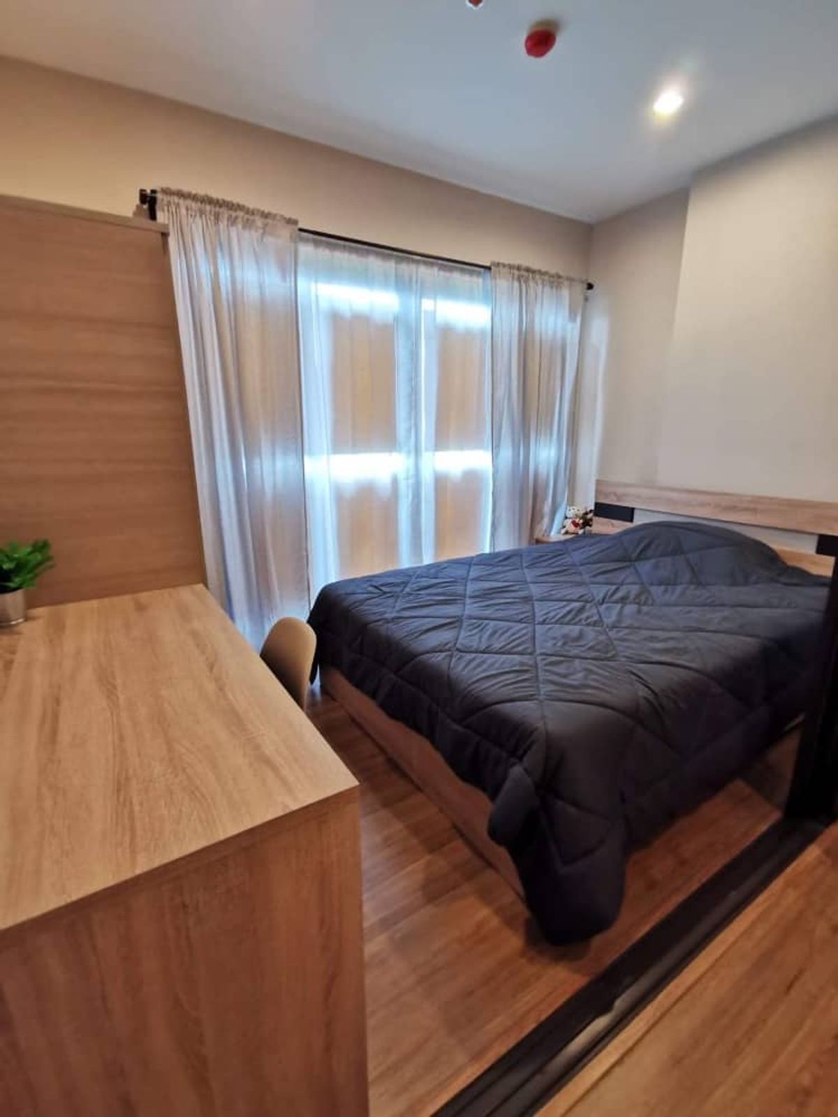 ขายคอนโดปิ่นเกล้า จรัญสนิทวงศ์ : ขายด่วน ✨ The Tree RIO Bang - Aor Station ✨ ห้องสวย เฟอร์นิเจอร์ครบ ใกล้ MRT บางอ้อ (PS57375)