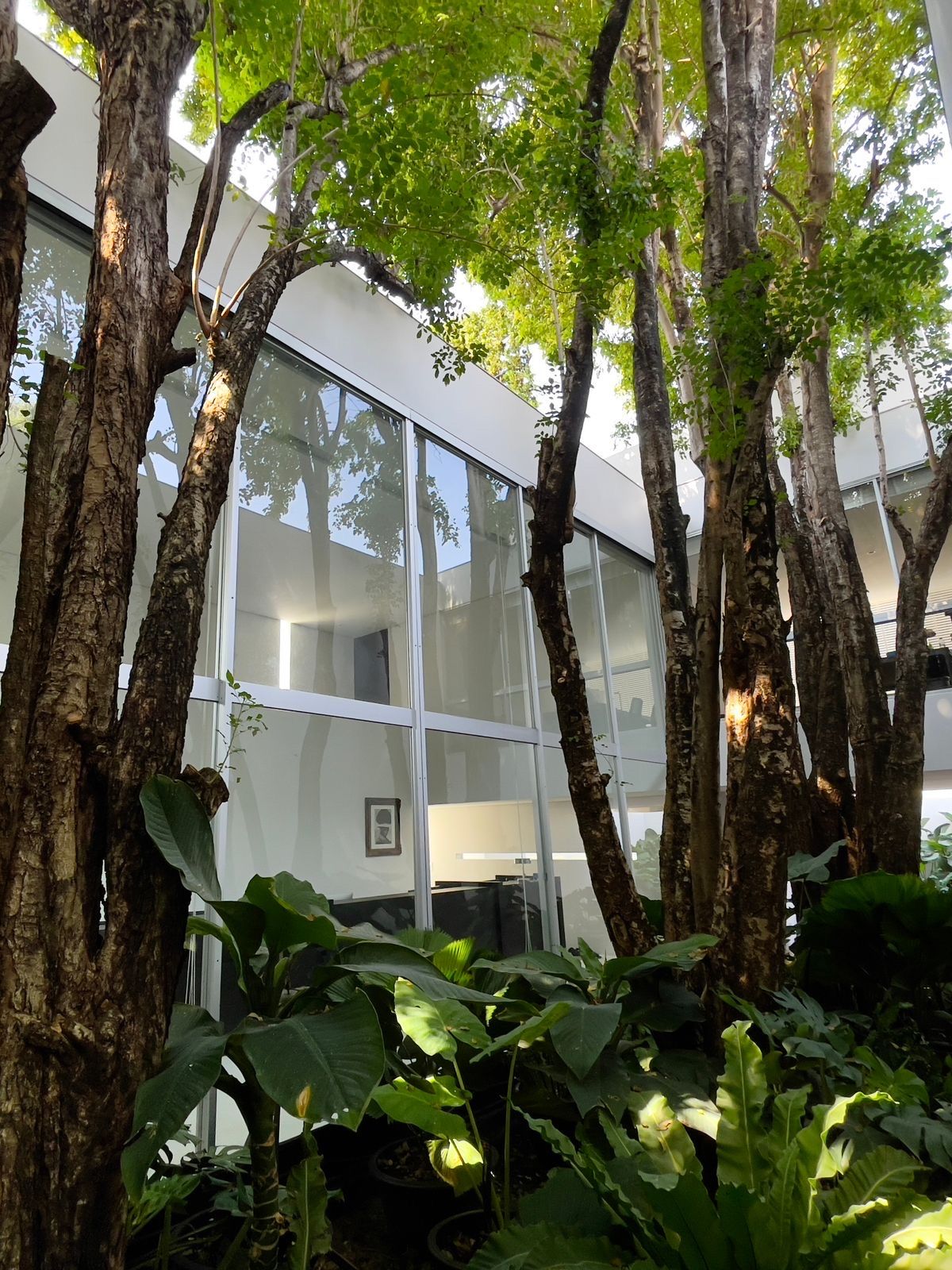 For SaleHome OfficePattanakan, Srinakarin : 📢👇 โฮมออฟฟิศ 3 ชั้น แห่งเดียวในเมืองที่มีความ สงบ ร่มรื่น กลมกลืนกับธรรมชาติ ใกล้แหล่งชุมชน เดินทางสะดวกได้หลายเส้นทาง