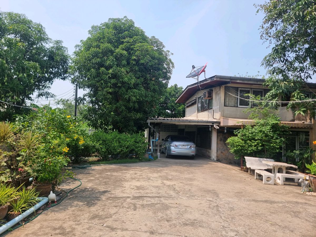 ขายที่ดินรัตนาธิเบศร์ สนามบินน้ำ พระนั่งเกล้า : ลดแรง💥ขายที่ดิน ใกล้รถไฟไฟ้า  402 ตร.ว ติวานนท์ 48 เดินทางสะดวก  (แถม บ้านน่าอยู่) บรรยากาศดีๆ 