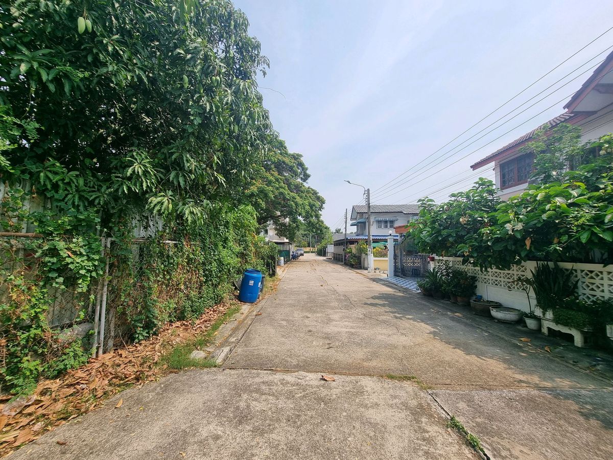 ขายที่ดินรัตนาธิเบศร์ สนามบินน้ำ พระนั่งเกล้า : ลดแรง💥ขายที่ดิน ใกล้รถไฟไฟ้า  402 ตร.ว ติวานนท์ 48 เดินทางสะดวก  (แถม บ้านน่าอยู่) บรรยากาศดีๆ 