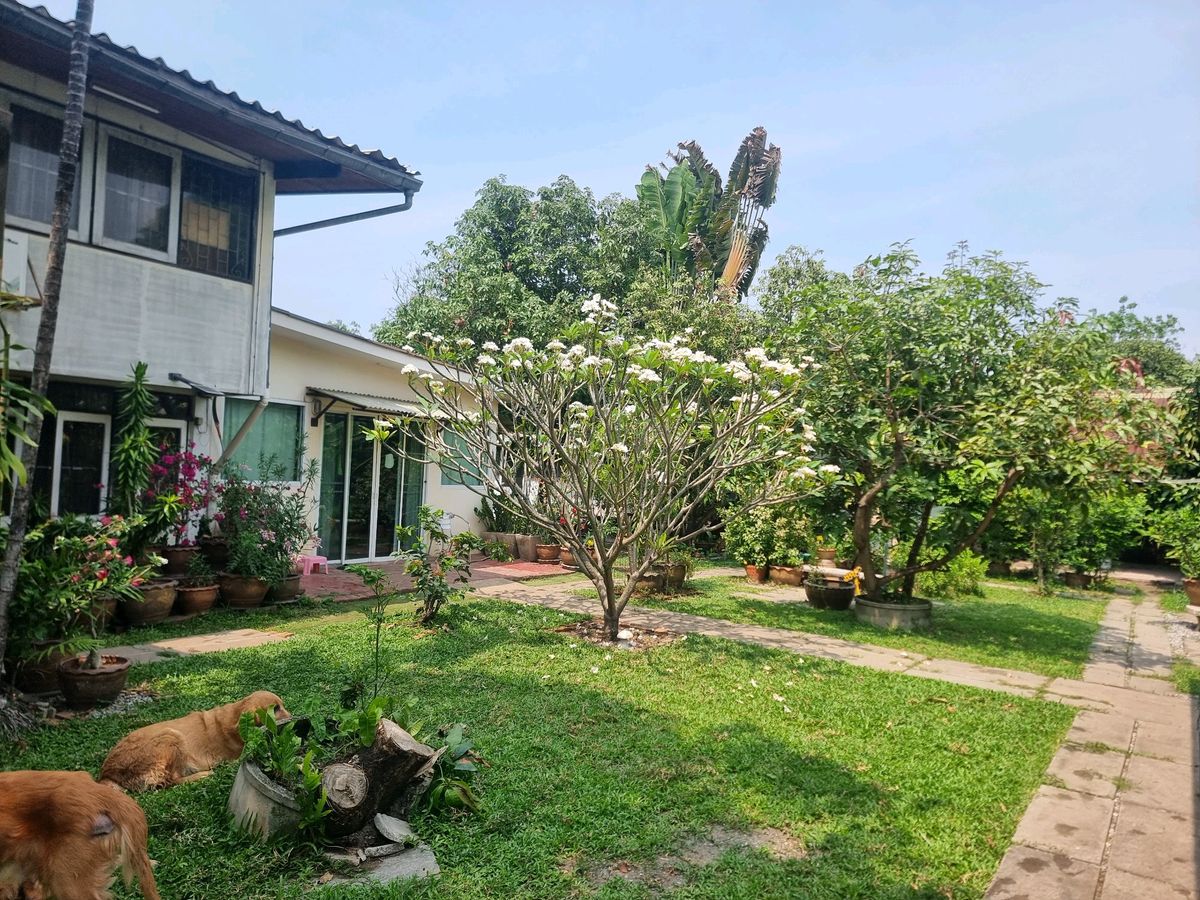 ขายที่ดินรัตนาธิเบศร์ สนามบินน้ำ พระนั่งเกล้า : ลดแรง💥ขายที่ดิน ใกล้รถไฟไฟ้า  402 ตร.ว ติวานนท์ 48 เดินทางสะดวก  (แถม บ้านน่าอยู่) บรรยากาศดีๆ 