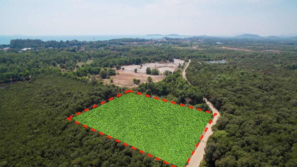 ขายที่ดินระยอง : ที่ดิน 5 ไร่ ด้านหน้าติดถนน สำหรับพัฒนาเป็นที่พักอาศัย ตั้งอยู่ในบริเวณศูนย์กลางของหาดแม่พิมพ์ 