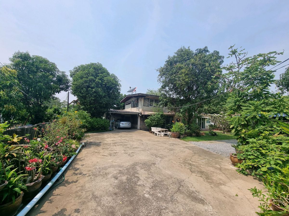 ขายที่ดินรัตนาธิเบศร์ สนามบินน้ำ พระนั่งเกล้า : ลดแรง💥ขายที่ดิน ใกล้รถไฟไฟ้า  402 ตร.ว ติวานนท์ 48 เดินทางสะดวก  (แถม บ้านน่าอยู่) บรรยากาศดีๆ 