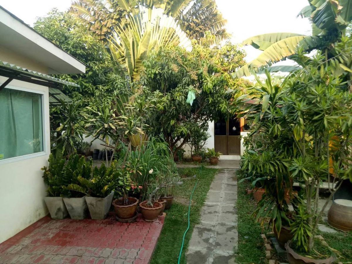 ขายที่ดินรัตนาธิเบศร์ สนามบินน้ำ พระนั่งเกล้า : ลดแรง💥ขายที่ดิน ใกล้รถไฟไฟ้า  402 ตร.ว ติวานนท์ 48 เดินทางสะดวก  (แถม บ้านน่าอยู่) บรรยากาศดีๆ 