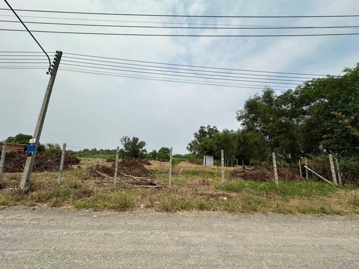 For SaleLandPathum Thani,Rangsit, Thammasat : Land for sale.