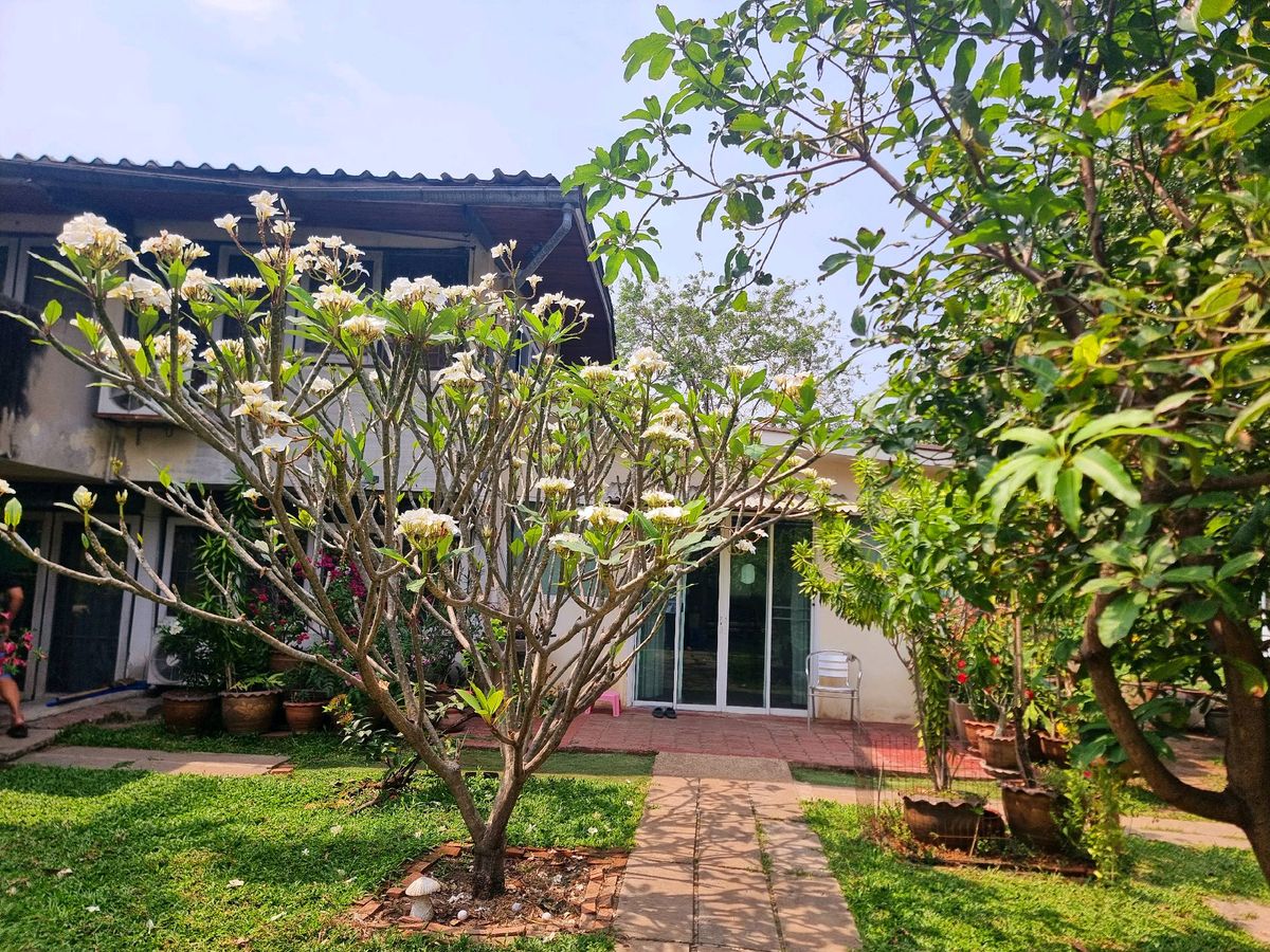 ขายที่ดินรัตนาธิเบศร์ สนามบินน้ำ พระนั่งเกล้า : ลดแรง💥ขายที่ดิน ใกล้รถไฟไฟ้า  402 ตร.ว ติวานนท์ 48 เดินทางสะดวก  (แถม บ้านน่าอยู่) บรรยากาศดีๆ 