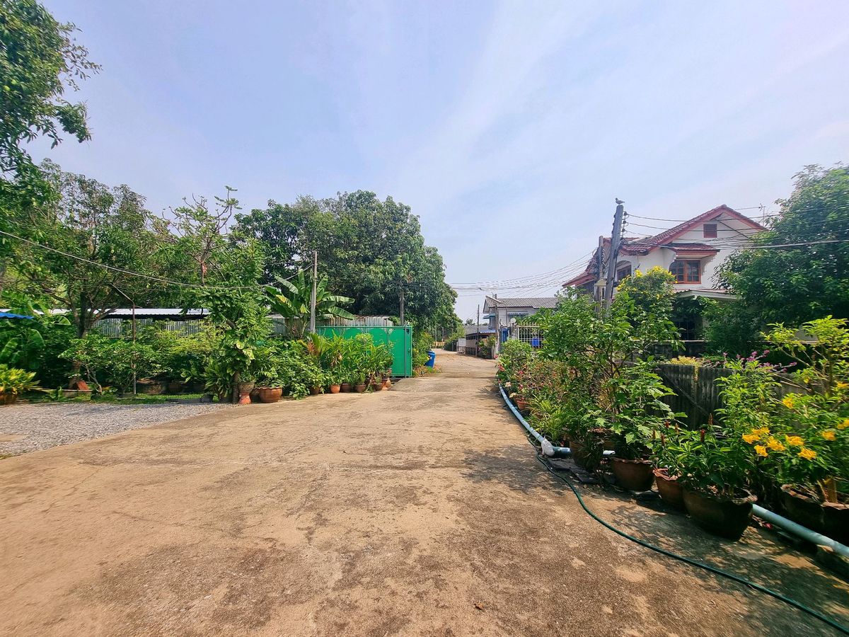 ขายที่ดินรัตนาธิเบศร์ สนามบินน้ำ พระนั่งเกล้า : ลดแรง💥ขายที่ดิน ใกล้รถไฟไฟ้า  402 ตร.ว ติวานนท์ 48 เดินทางสะดวก  (แถม บ้านน่าอยู่) บรรยากาศดีๆ 