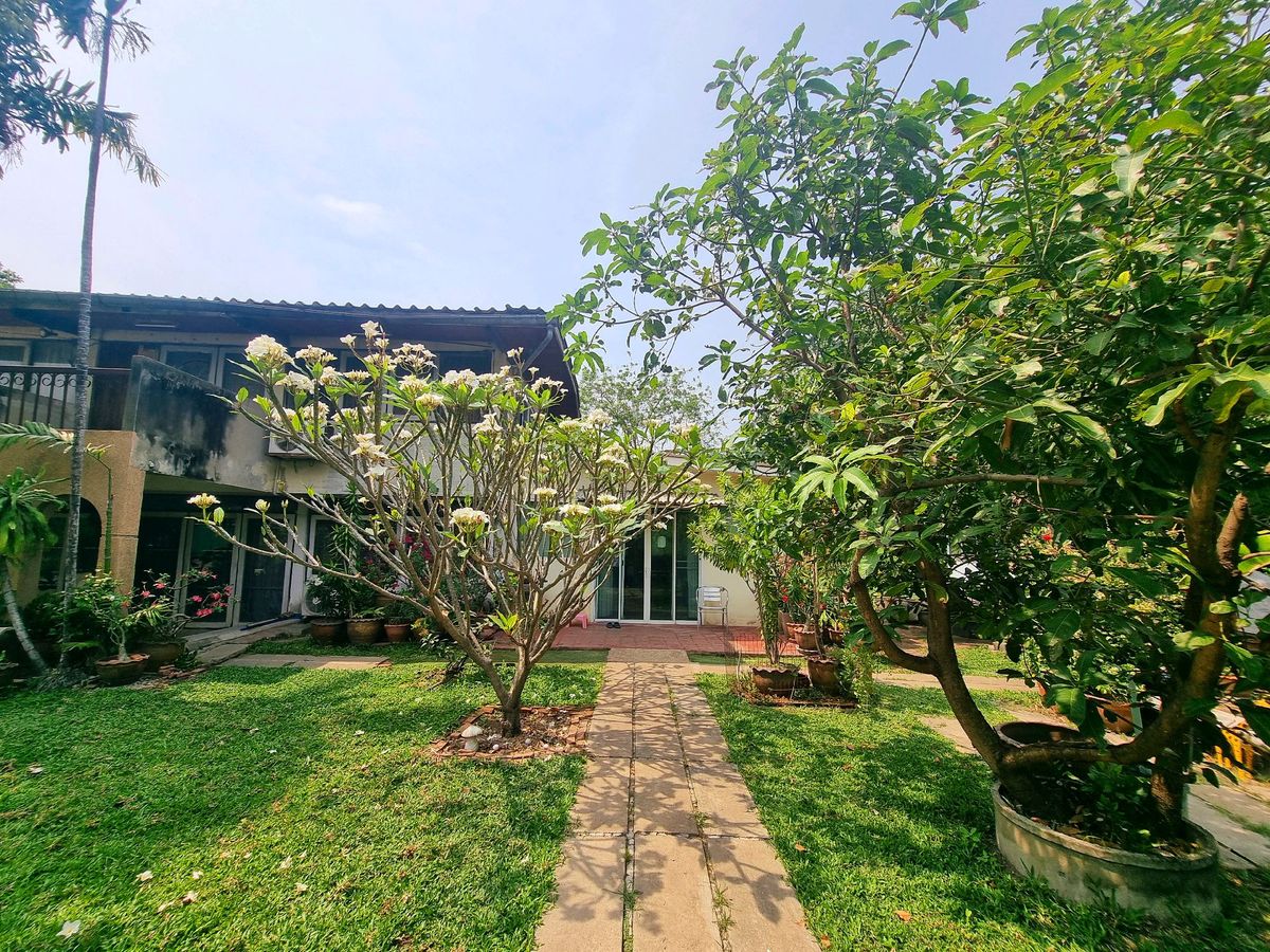 ขายที่ดินรัตนาธิเบศร์ สนามบินน้ำ พระนั่งเกล้า : ลดแรง💥ขายที่ดิน ใกล้รถไฟไฟ้า  402 ตร.ว ติวานนท์ 48 เดินทางสะดวก  (แถม บ้านน่าอยู่) บรรยากาศดีๆ 