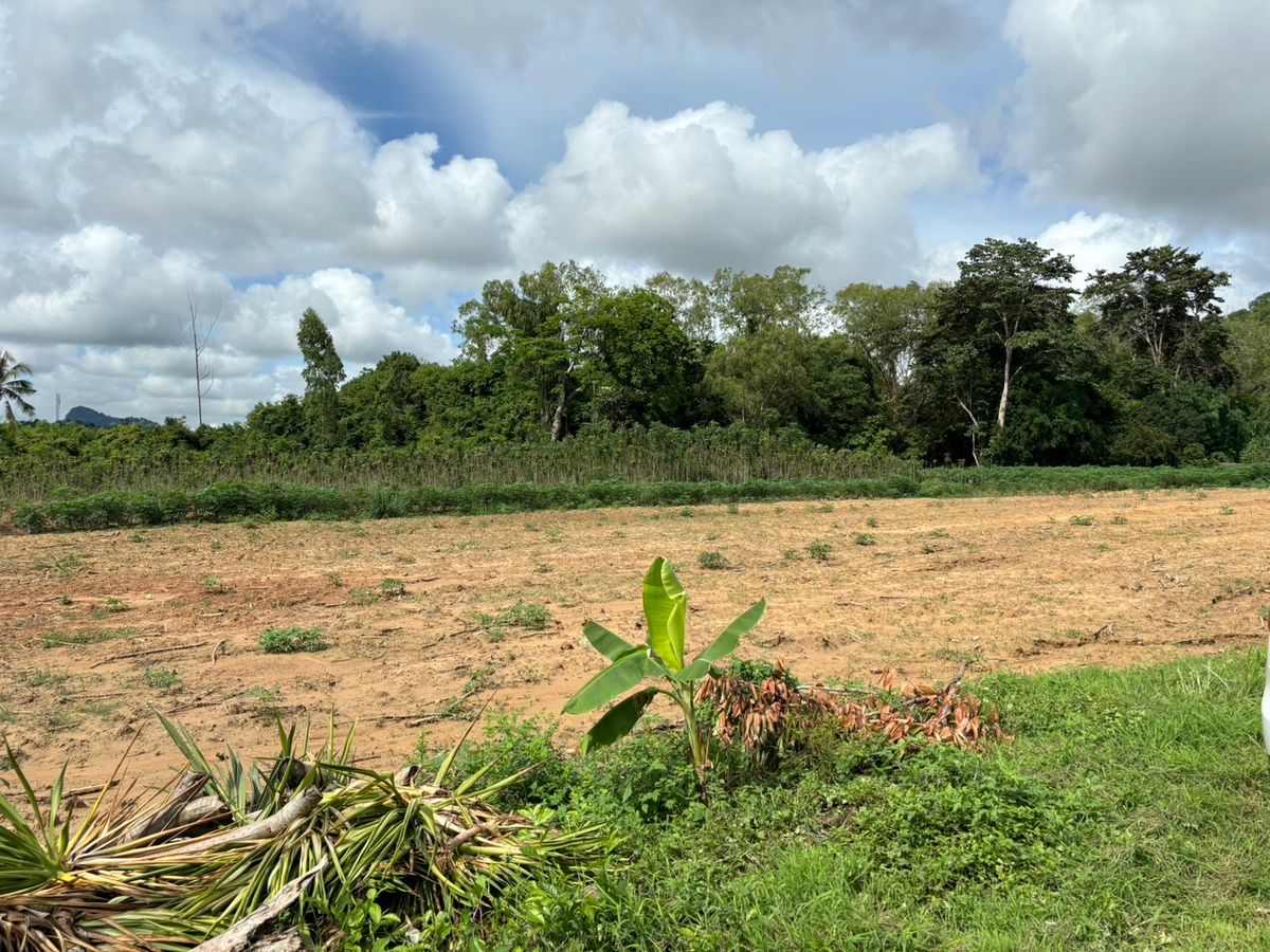 ขายที่ดินพัทยา บางแสน ชลบุรี สัตหีบ : ขายที่ดิน 7 ไร่ 35 วา บางเสร่ สัตหีบ เหมาะทำพูลวิลล่า  จาก ถนน 332 เข้าไป 300 เมตร  