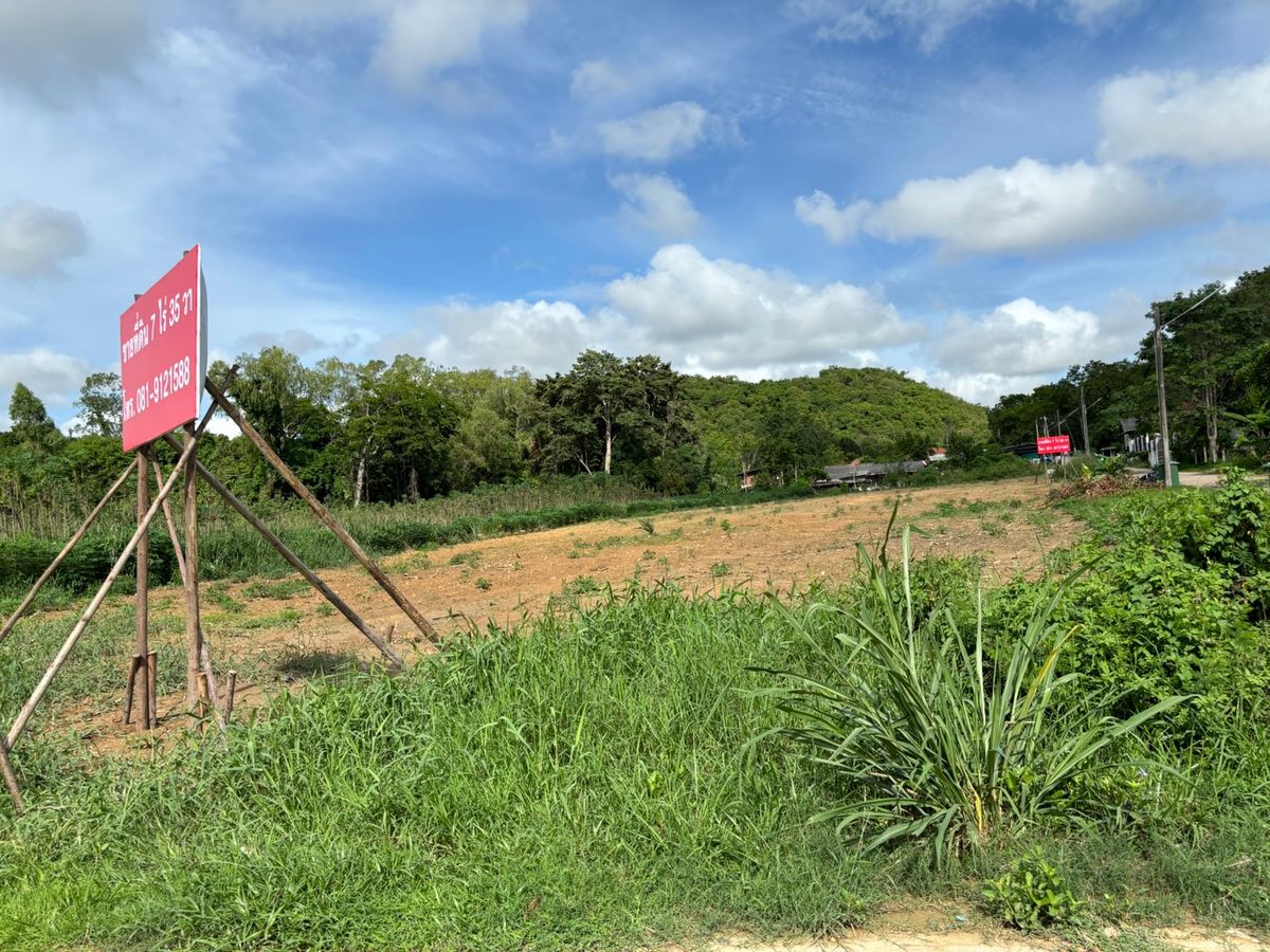 ขายที่ดินพัทยา บางแสน ชลบุรี สัตหีบ : ขายที่ดิน 7 ไร่ 35 วา บางเสร่ สัตหีบ เหมาะทำพูลวิลล่า  จาก ถนน 332 เข้าไป 300 เมตร  