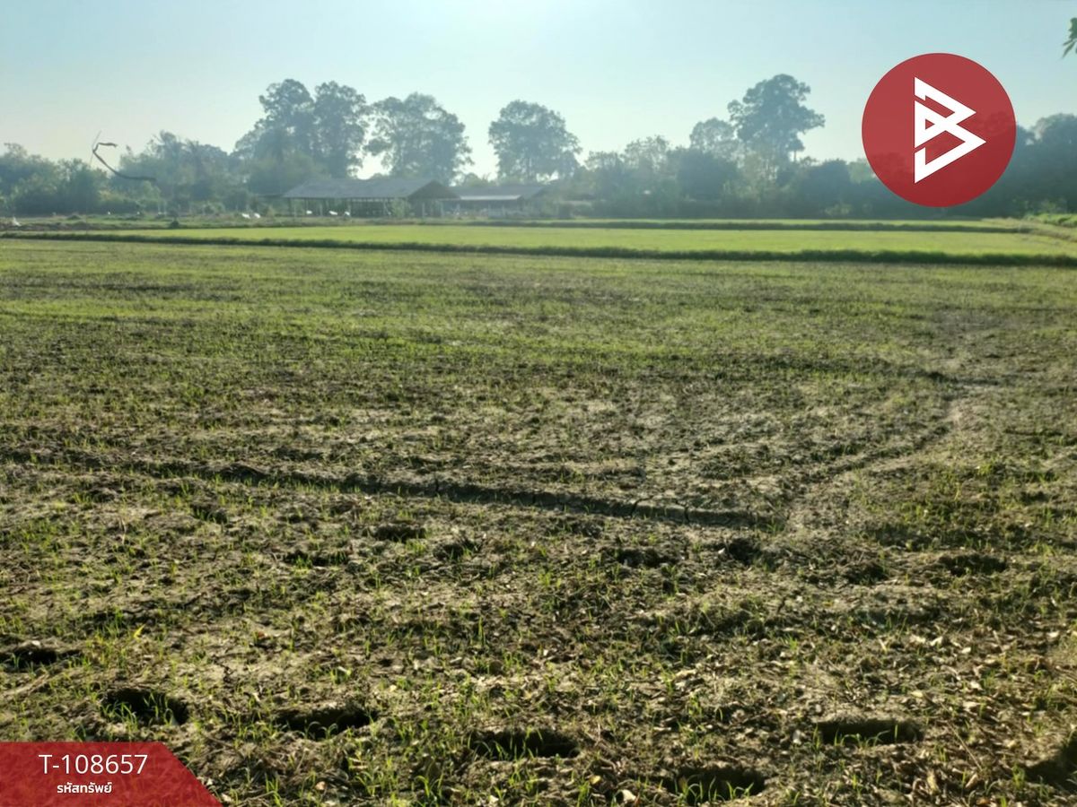 For SaleLandNakhon Pathom : Land for sale, area of ​​6 rai 3 ngan 98.3 sq.wah, Ban Yang, Nakhon Pathom