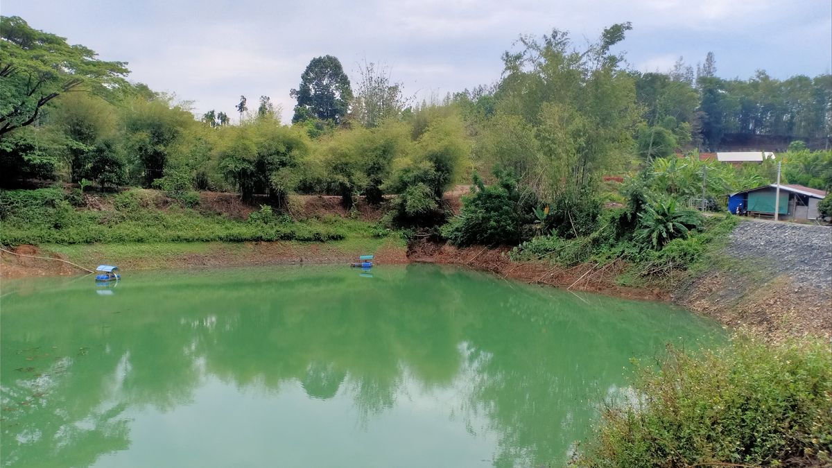 ขายที่ดินจันทบุรี : ขายสวนเกษตร ระบบน้ำทั่วแปลง 51 ไร่ อ.ขลุง