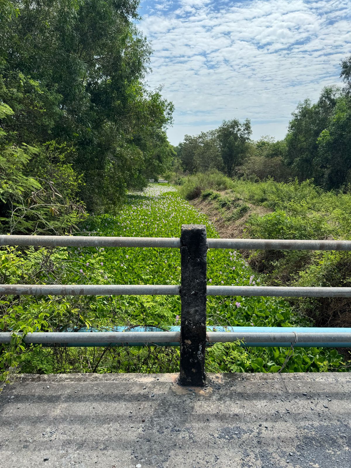 ขายที่ดินมีนบุรี-ร่มเกล้า : ขายทีดินสวยๆ