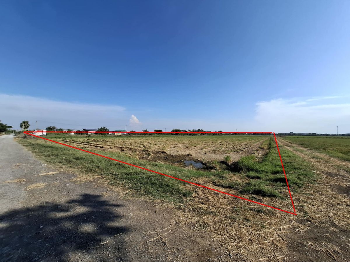 For SaleLandLadkrabang, Suwannaphum Airport : Land for sale in Lat Krabang Long Mon Canal Road, Long, Bangkok, Green area