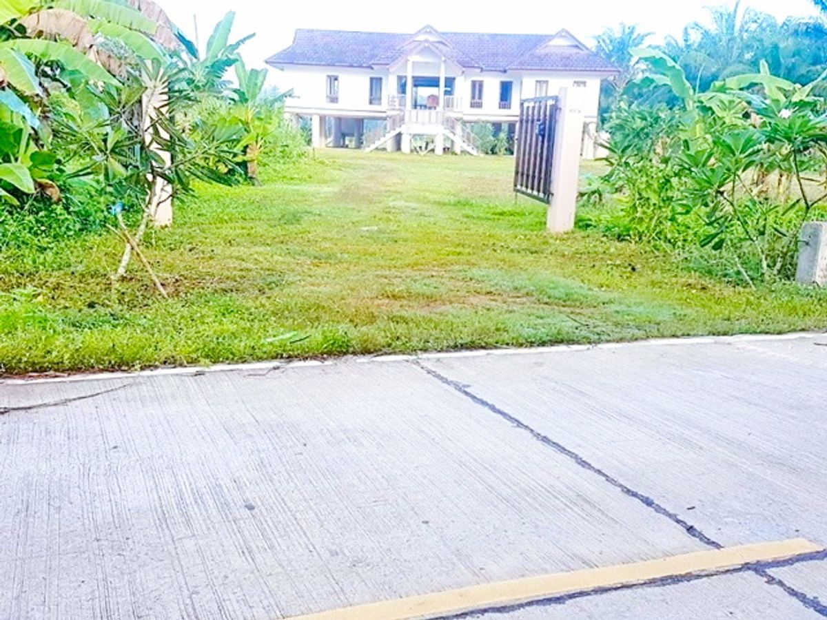 For RentHouseKoh Samui, Surat Thani : Surat Thani International Airport, 15 minutes, Airbnb, Lotus Big C, peaceful love for rent, raised 3 rai, 199 sqm. Love 3 bedrooms, 3 water parking, 3 air conditioners