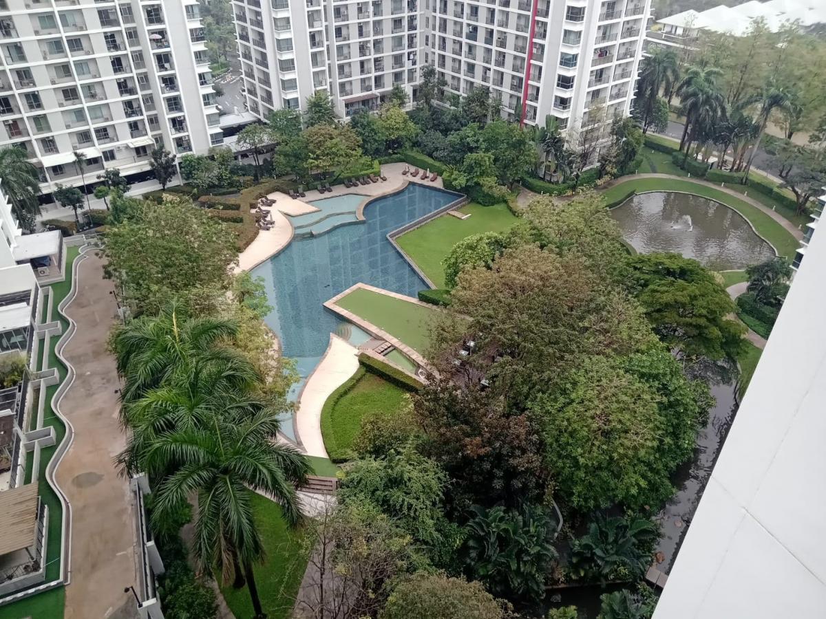 ให้เช่าคอนโดพัฒนาการ ศรีนครินทร์ : New Room for rent Full furnished Ready to move inThe Parkland srinakarin > New Room > Fully Furnished, Ready to move in.> Pool View> Type: 1 Bed 1 Bath> FL 10-15> Size: 48 Sqm. > For Rent 9K/month> Booking for Visit Tel/Line 089799