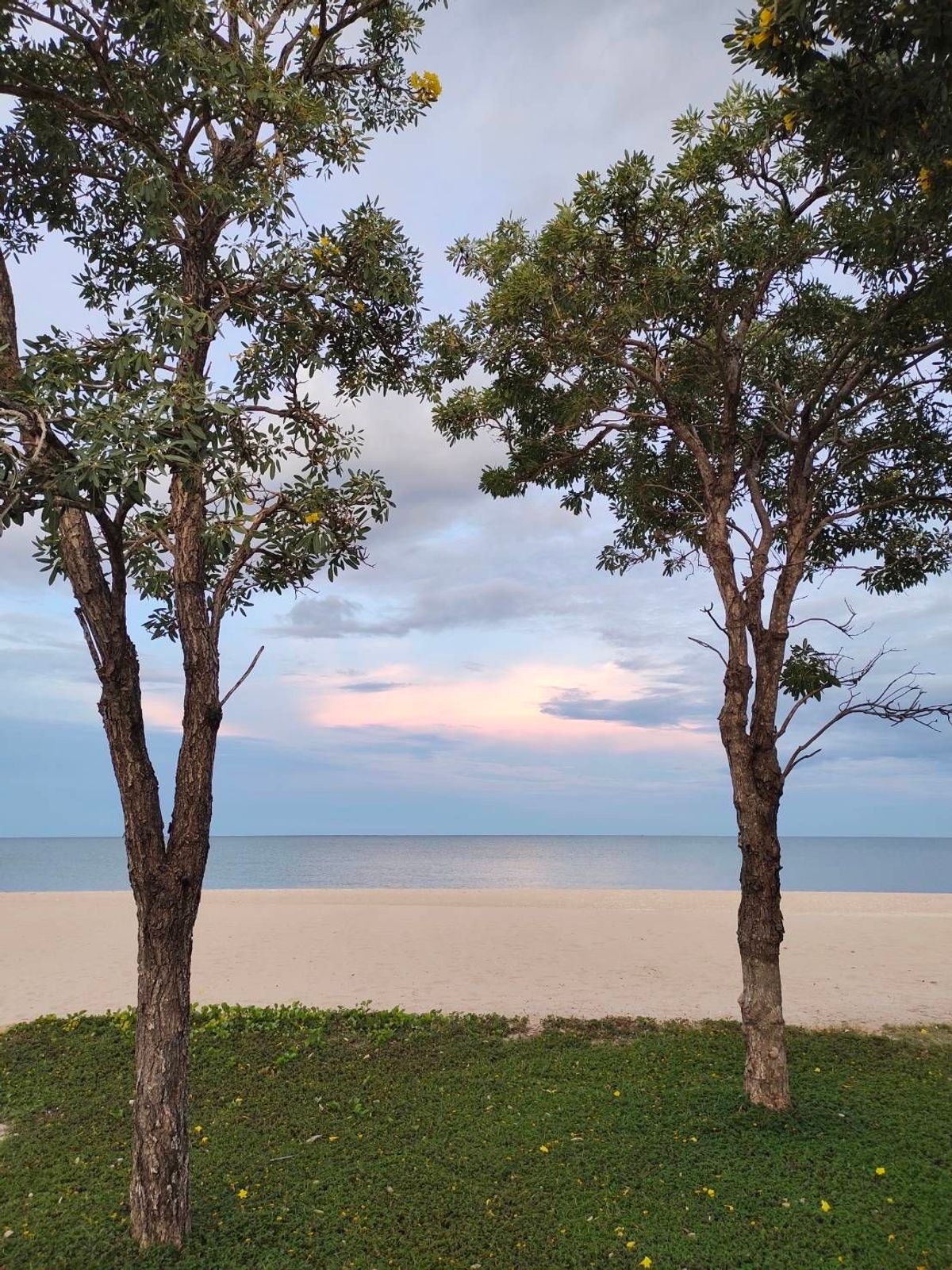 ขายบ้านหัวหิน ประจวบคีรีขันธ์ : 📢👇บ้านพักตากอากาศชายทะเล ชะอำ หัวหิน หาดสวย น้ำใส เพียง 200 เมตร ถึงชายทะเล มีระบบรักษาความปลอดภัยที่ดี เข้าตัวเมืองหัวหินเพียง 15 นาที (หมู่บ้านติดถนนหลักเพชรเกษม)