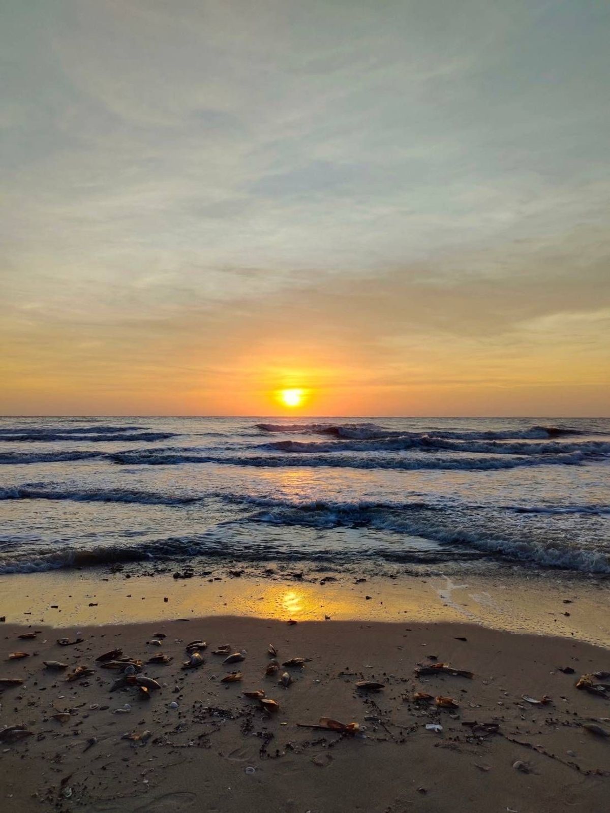 ขายบ้านหัวหิน ประจวบคีรีขันธ์ : 📢👇บ้านพักตากอากาศชายทะเล ชะอำ หัวหิน หาดสวย น้ำใส เพียง 200 เมตร ถึงชายทะเล มีระบบรักษาความปลอดภัยที่ดี เข้าตัวเมืองหัวหินเพียง 15 นาที (หมู่บ้านติดถนนหลักเพชรเกษม)