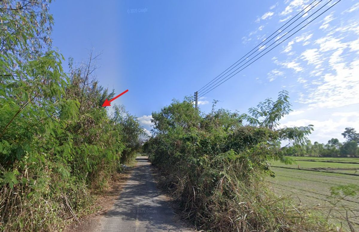 ขายที่ดินเชียงใหม่ : ขายที่ดิน สันกำแพง 114 ตร.ว. ติดหมู่บ้านบียอนด์ ใกล้ถนนหมายเลข 1317