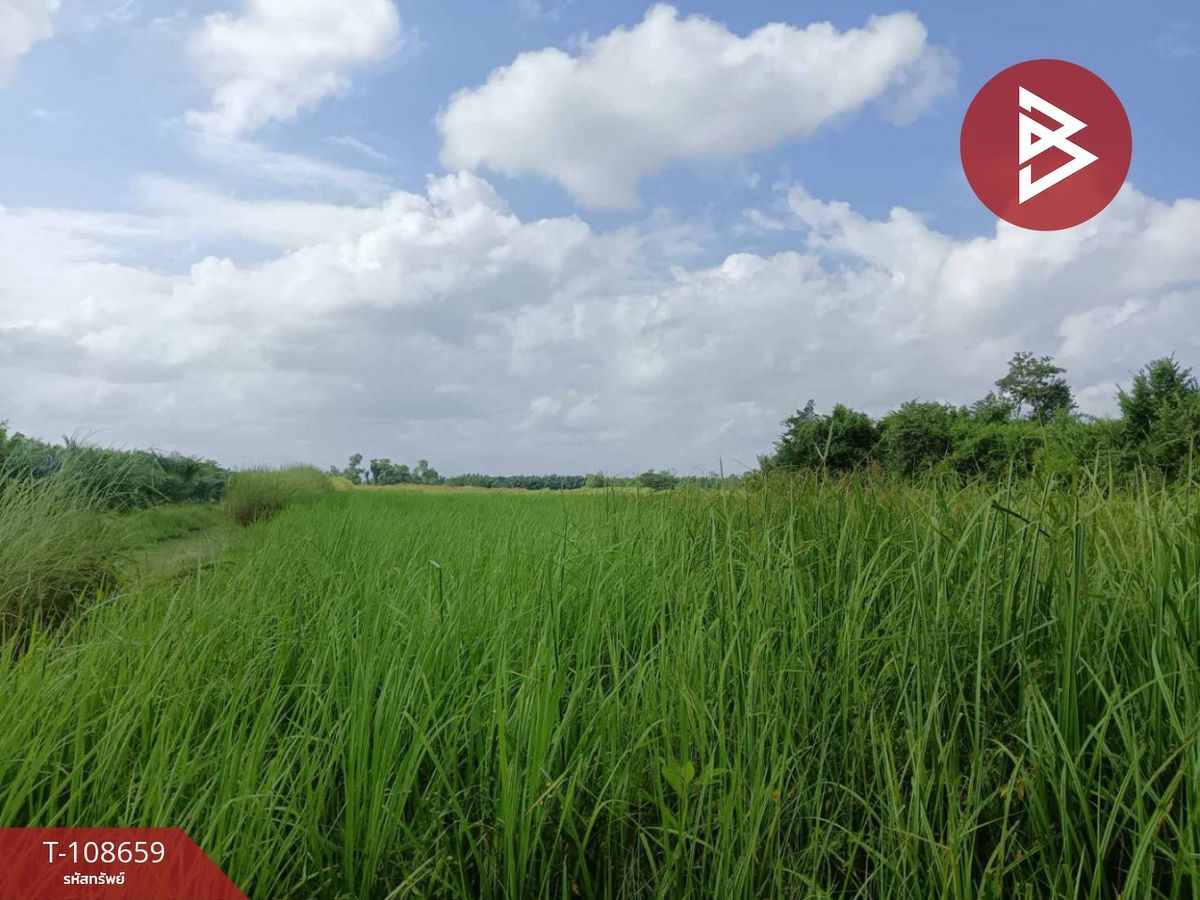 ขายที่ดินนครศรีธรรมราช : ขายที่ดินเปล่า เนื้อที่ 6 ไร่ 83 ตร.วา เชียรใหญ่ นครศรีธรรมราช