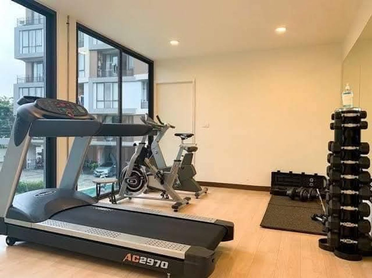 ให้เช่าคอนโดสุขุมวิท อโศก ทองหล่อ : 𝗥𝗮𝗿𝗲 𝗶𝘁𝗲𝗺 𝗰𝗼𝗻𝗱𝗼 𝗼𝗻𝗹𝘆 36 𝗨𝗻𝗶𝘁𝘀
️️🚩For Rent : Mattani suites Ekkamai 22 🏷Available Now , 🐱Pets Friendly 