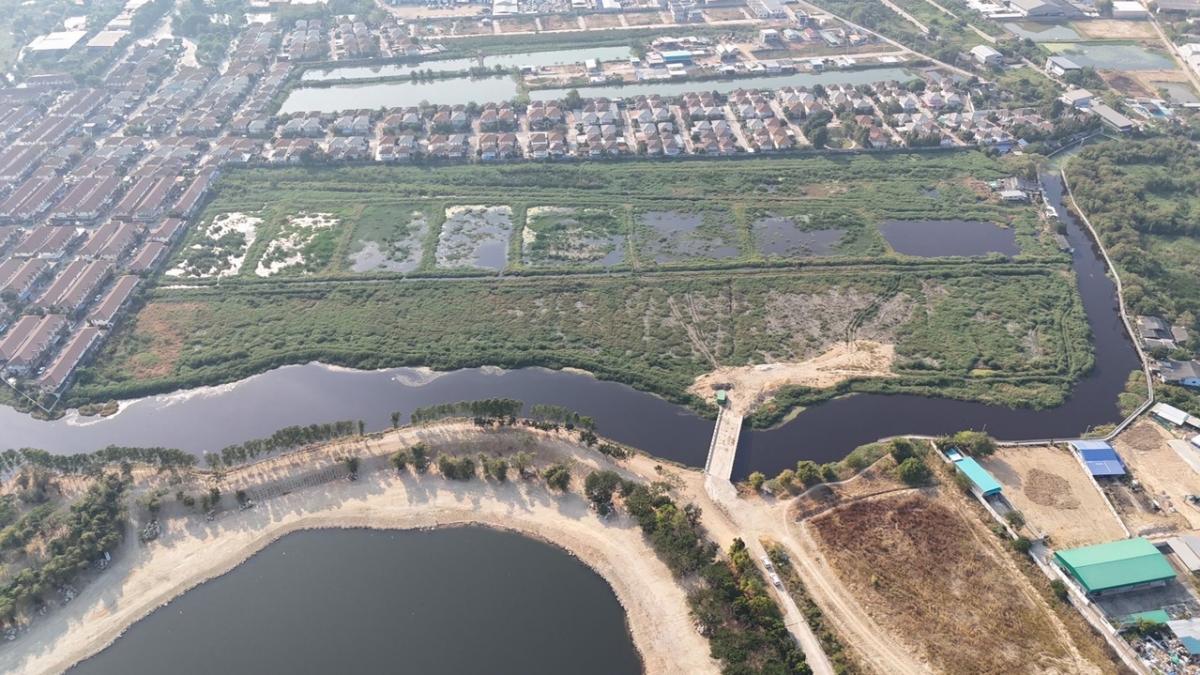 ขายที่ดินสมุทรปราการ สำโรง : ที่ใกล้ถนนใหญ่ 32.6 ไร่ ทำเลศักยภาพ แพรกษาใหม่ สมุทรปราการ