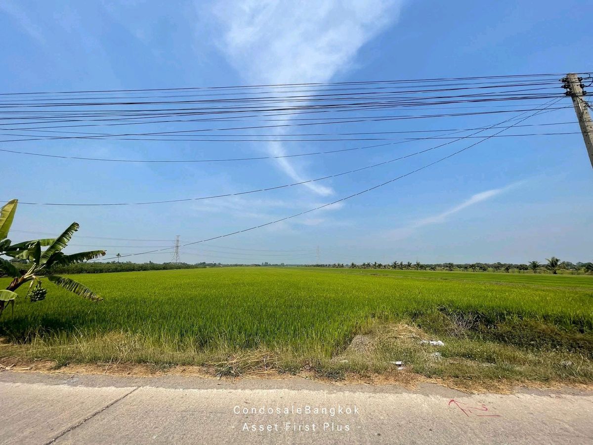 For SaleLandPathum Thani,Rangsit, Thammasat : Land for sale, Lat Lum Kaew, Pathum Thani 45-0-40 Rai