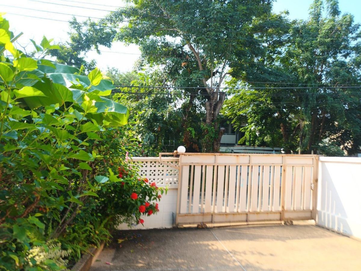 ขายบ้านนนทบุรี บางใหญ่ บางบัวทอง : บ้านเดี่ยว 85 ตร.ว. ซอยสามัคคี 60/6 / 4 ห้องนอน (ขาย), House 85 sq.Wa. Soi Samakkhi 60/6 / 4 Bedrooms (SALE) GOLF071