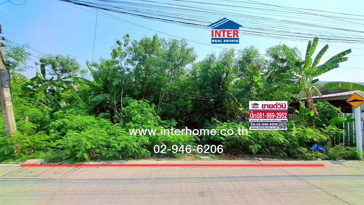 For SaleLandPathum Thani,Rangsit, Thammasat : Empty land 50 sq.w. Land Soi Sawai Pracharat 21 Phra Chao Chao Khlong 4 Road Sawai Pracharat Road, Lam Luk Ka, Pathum Thani